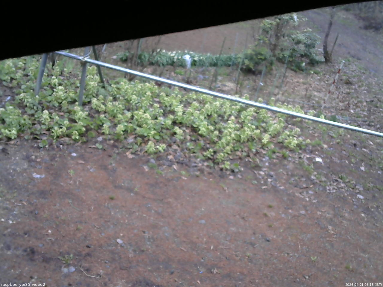長野県菅平高原 ゆたか山荘 駐車場 2026/04/21 06:15