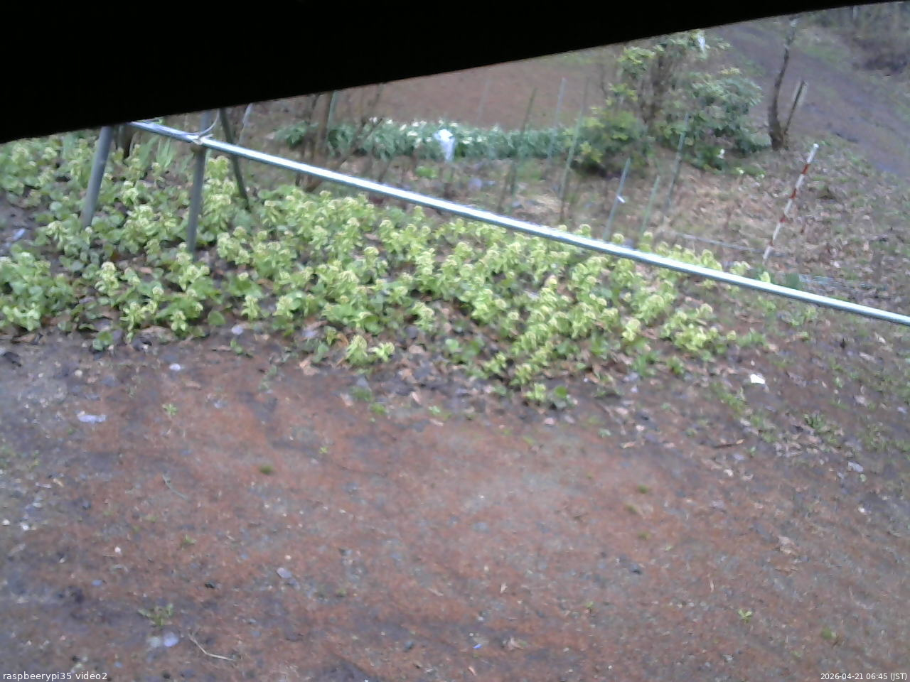 長野県菅平高原 ゆたか山荘 駐車場 2026/04/21 06:45