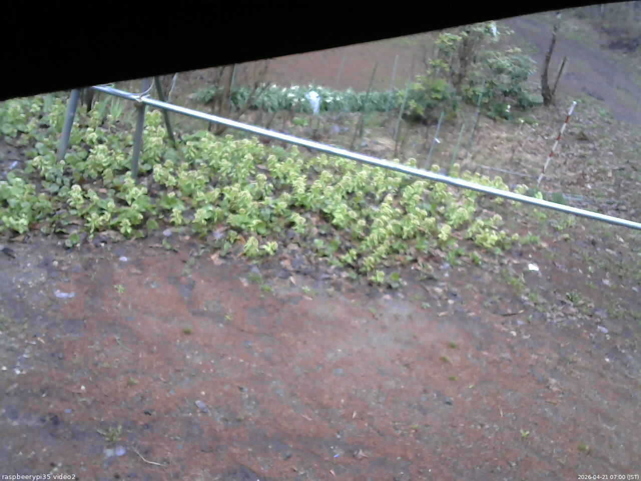 長野県菅平高原 ゆたか山荘 駐車場 2026/04/21 07:00