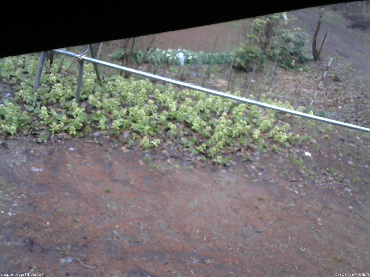 長野県菅平高原 ゆたか山荘 駐車場 2026/04/21 07:15