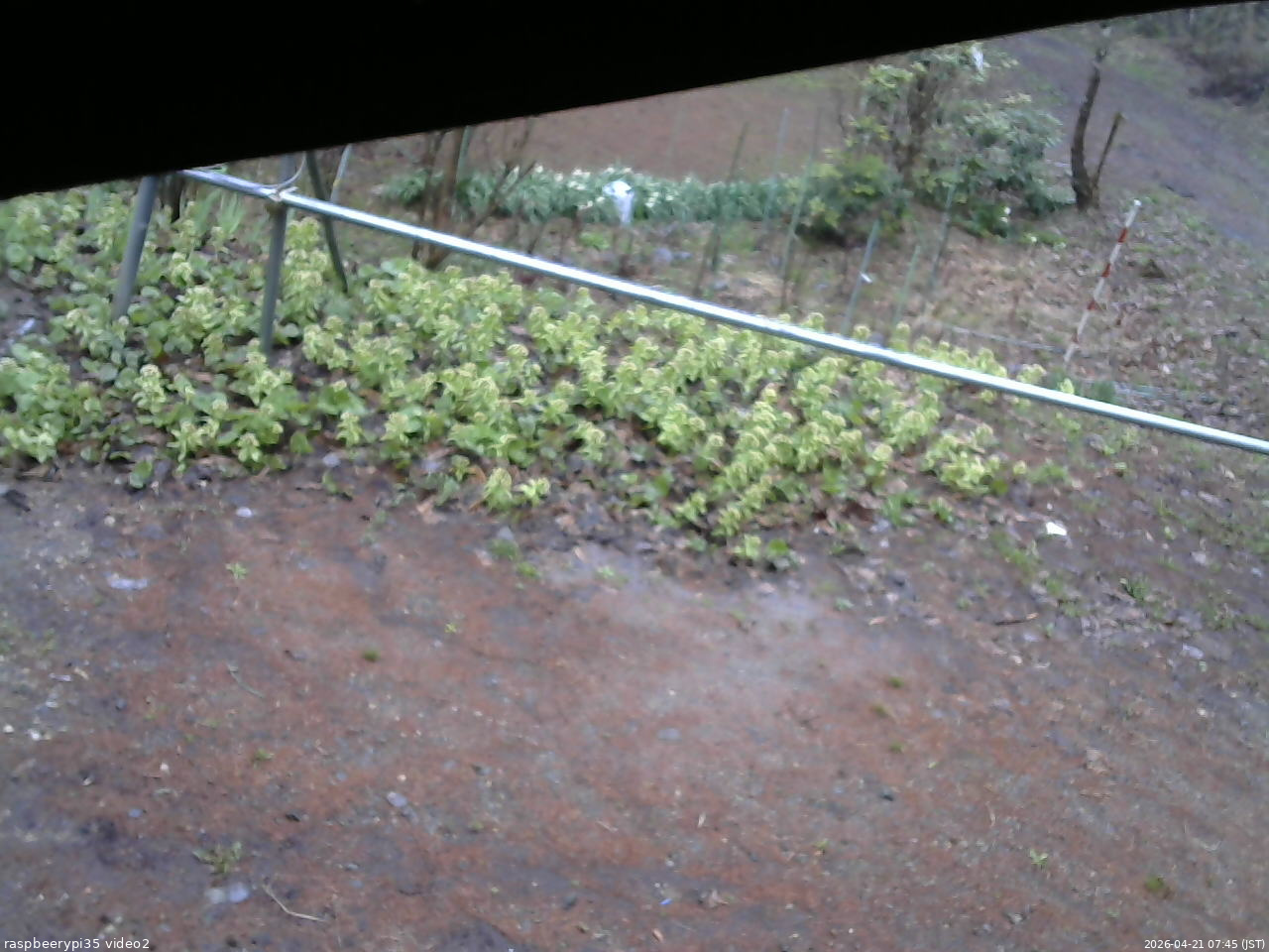 長野県菅平高原 ゆたか山荘 駐車場 2026/04/21 07:45