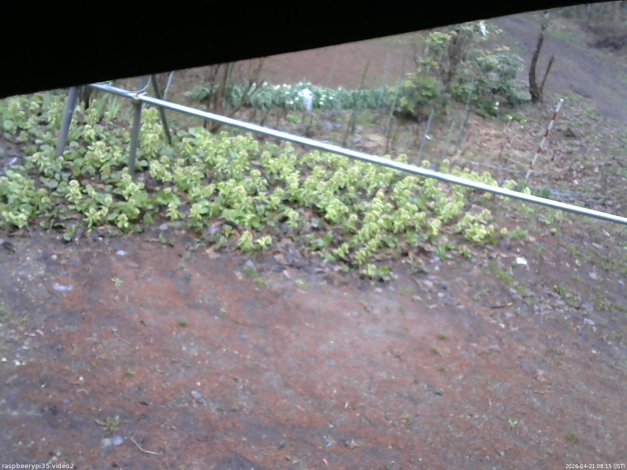 長野県菅平高原 ゆたか山荘 駐車場 2026/04/21 08:15
