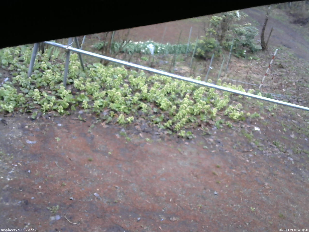 長野県菅平高原 ゆたか山荘 駐車場 2026/04/21 08:45