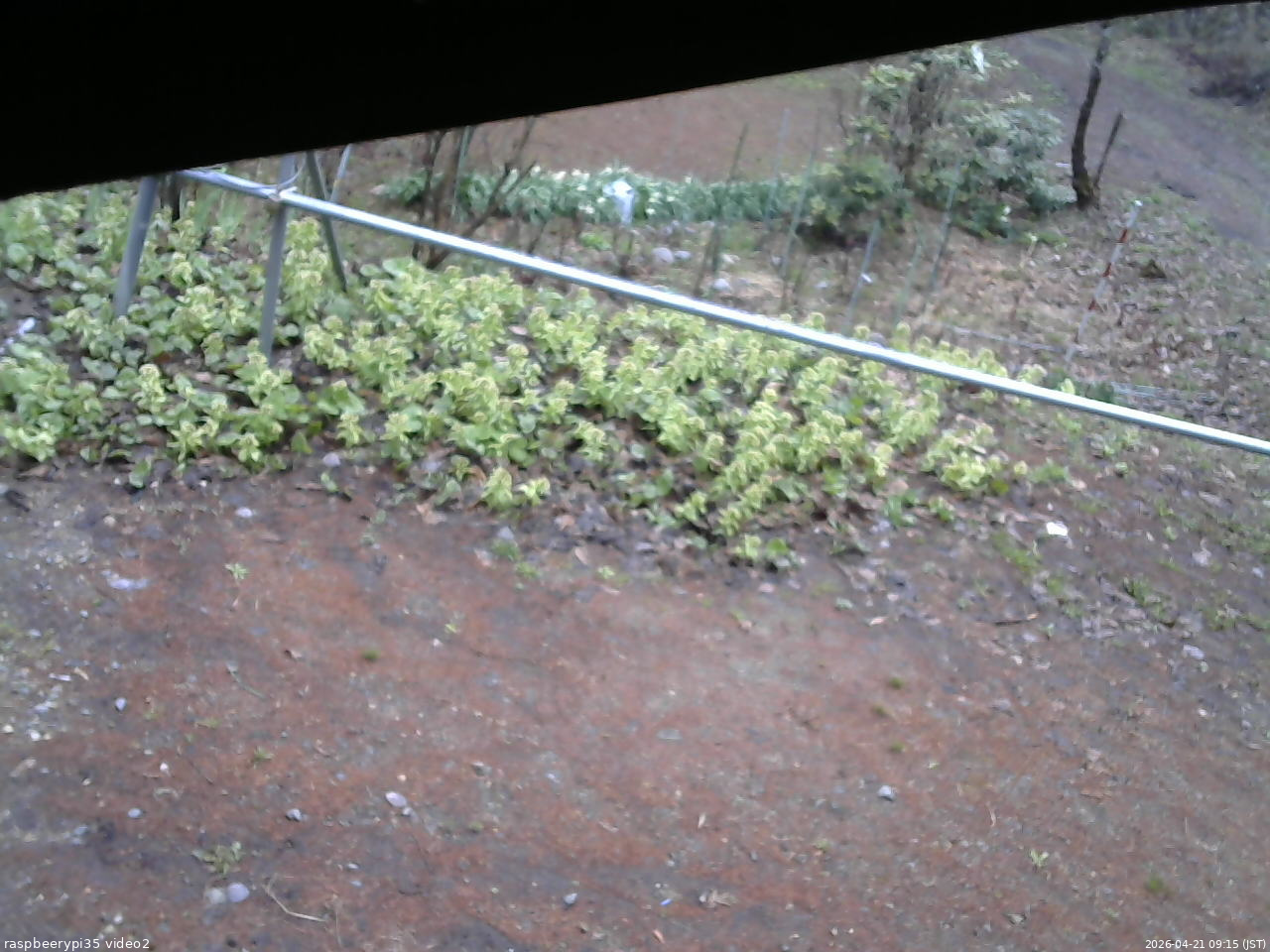 長野県菅平高原 ゆたか山荘 駐車場 2026/04/21 09:15
