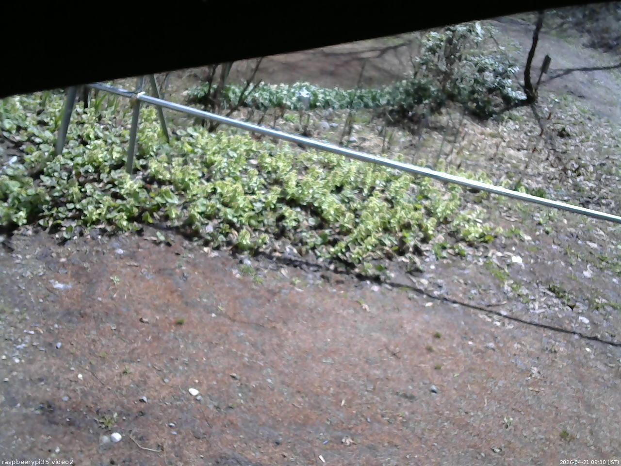 長野県菅平高原 ゆたか山荘 駐車場 2026/04/21 09:30