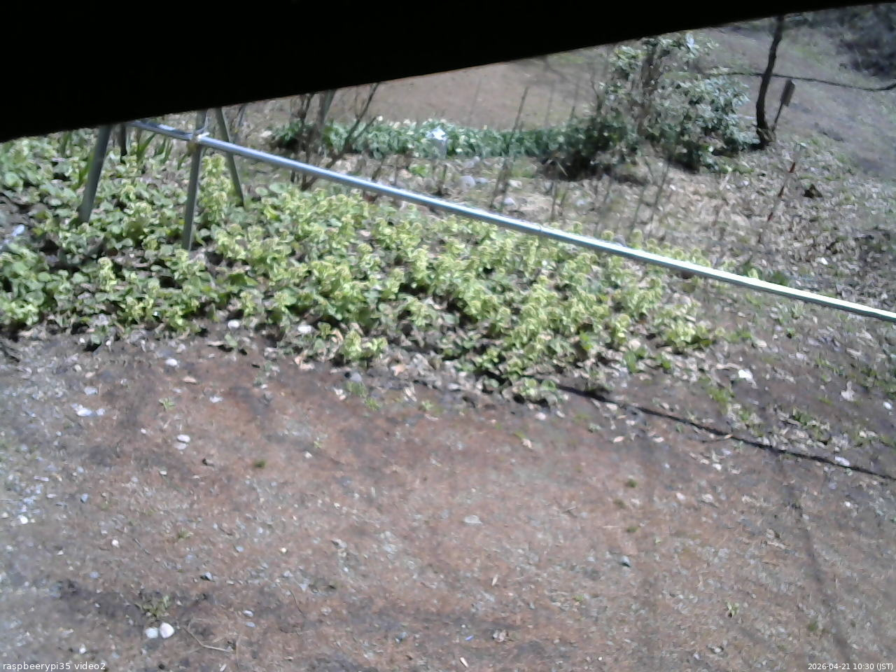 長野県菅平高原 ゆたか山荘 駐車場 2026/04/21 10:30