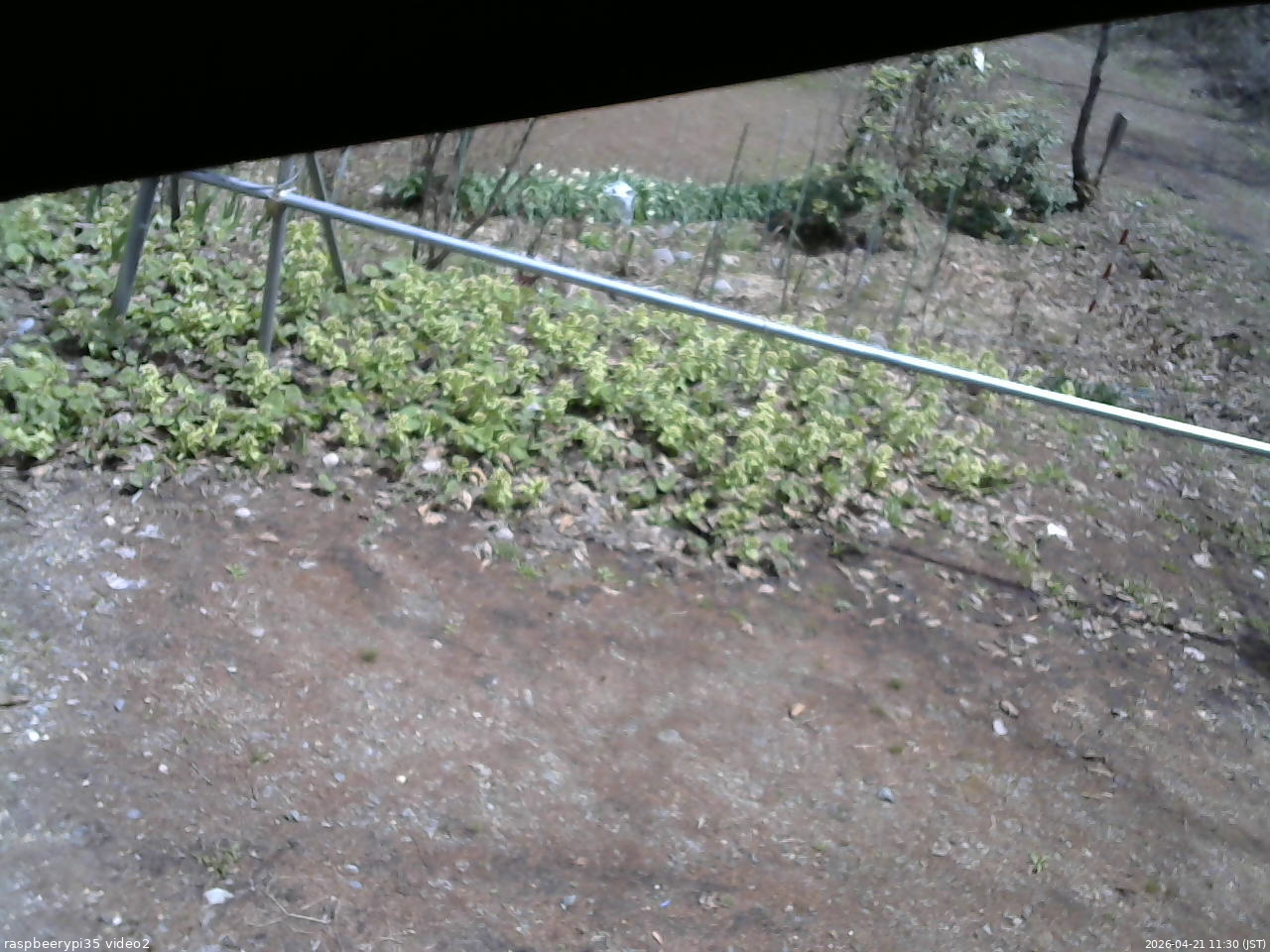 長野県菅平高原 ゆたか山荘 駐車場 2026/04/21 11:30