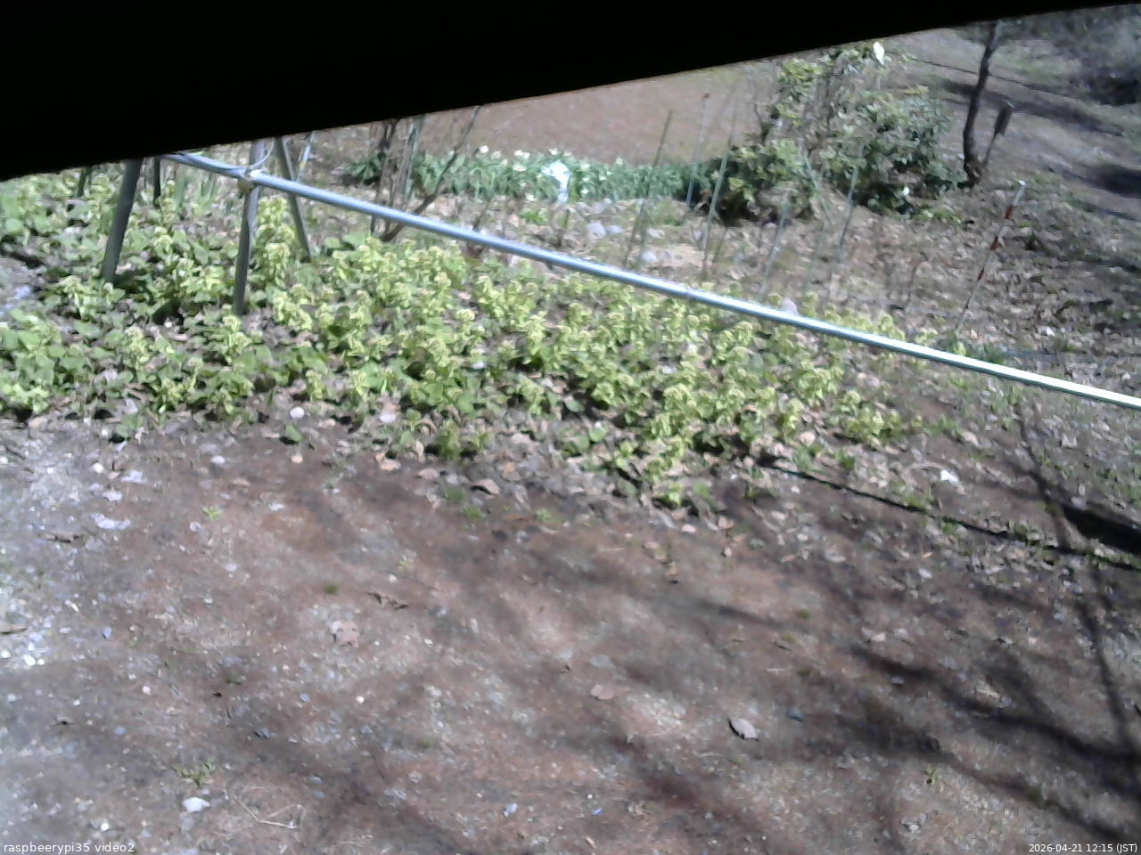 長野県菅平高原 ゆたか山荘 駐車場 2026/04/21 12:15