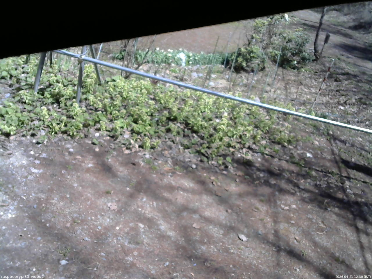 長野県菅平高原 ゆたか山荘 駐車場 2026/04/21 12:30