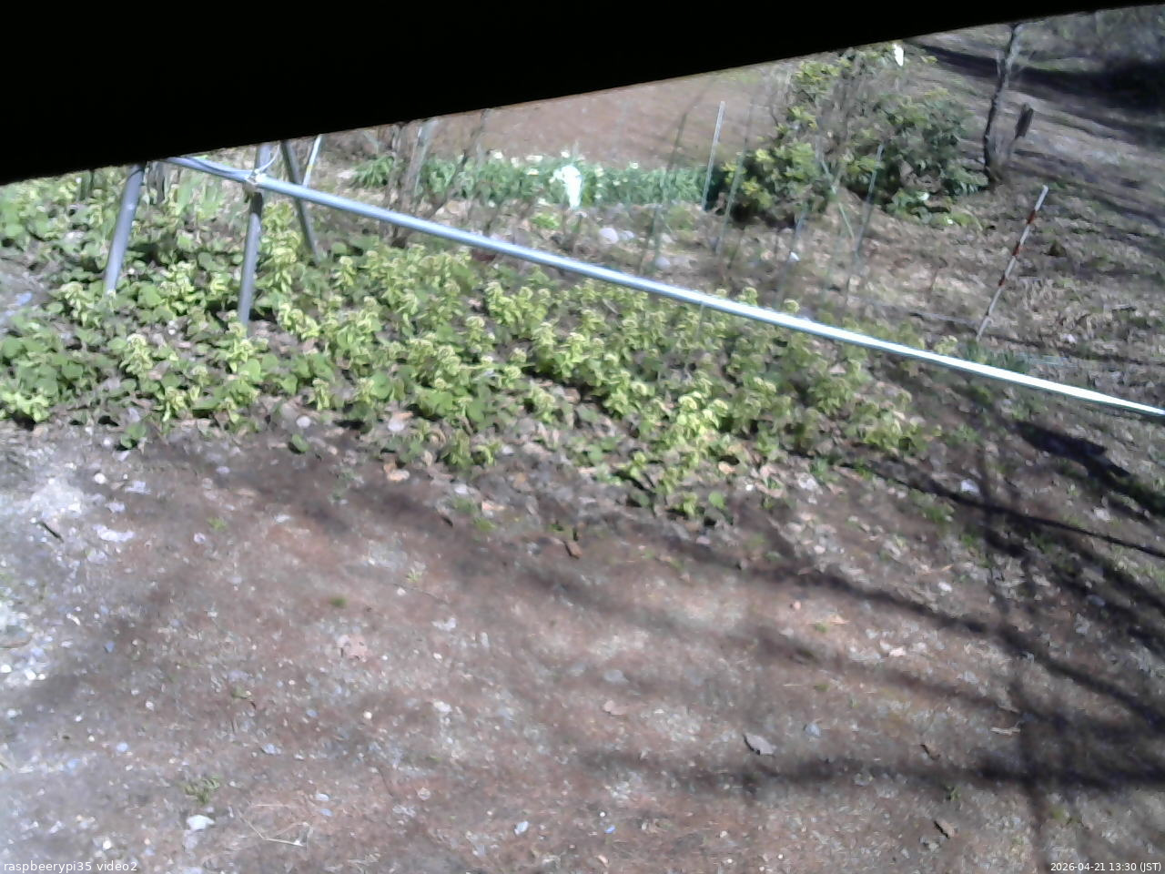 長野県菅平高原 ゆたか山荘 駐車場 2026/04/21 13:30