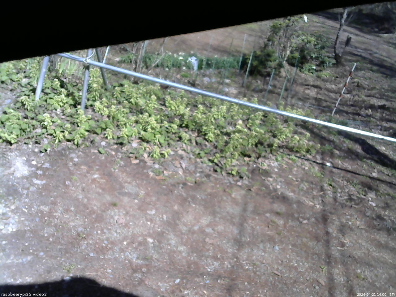 長野県菅平高原 ゆたか山荘 駐車場 2026/04/21 14:00