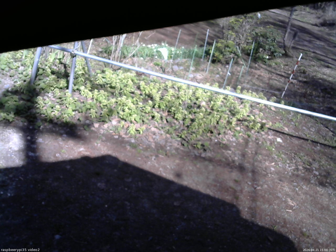 長野県菅平高原 ゆたか山荘 駐車場 2026/04/21 15:00
