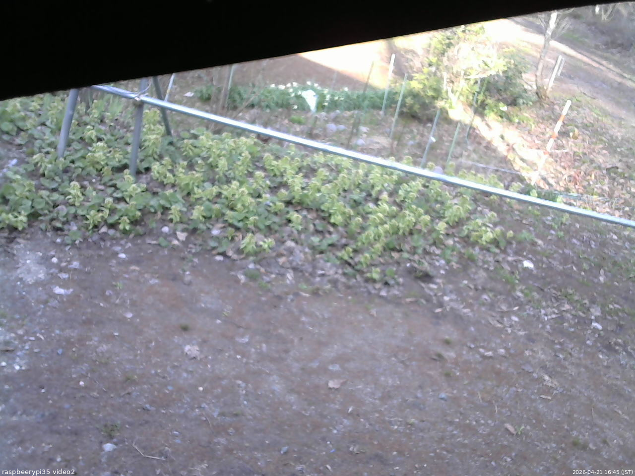 長野県菅平高原 ゆたか山荘 駐車場 2026/04/21 16:45