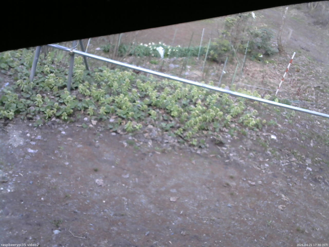 長野県菅平高原 ゆたか山荘 駐車場 2026/04/21 17:30