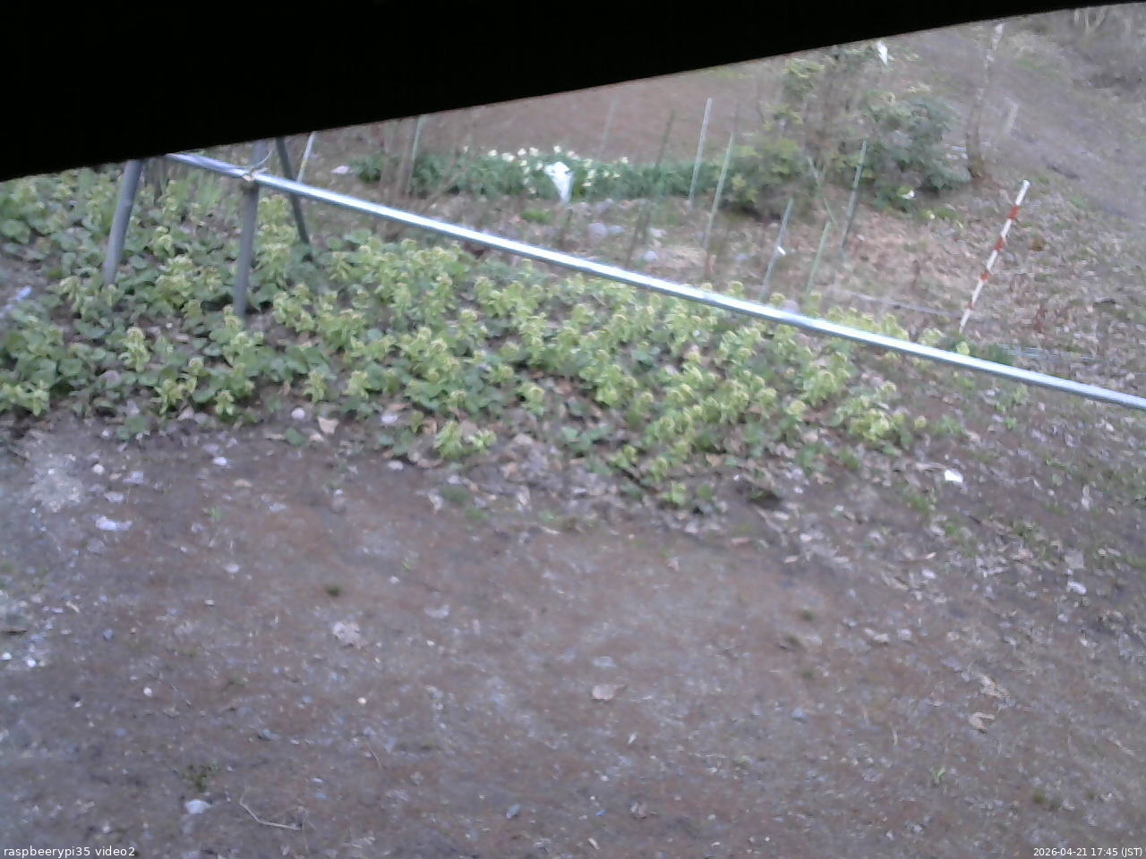 長野県菅平高原 ゆたか山荘 駐車場 2026/04/21 17:45