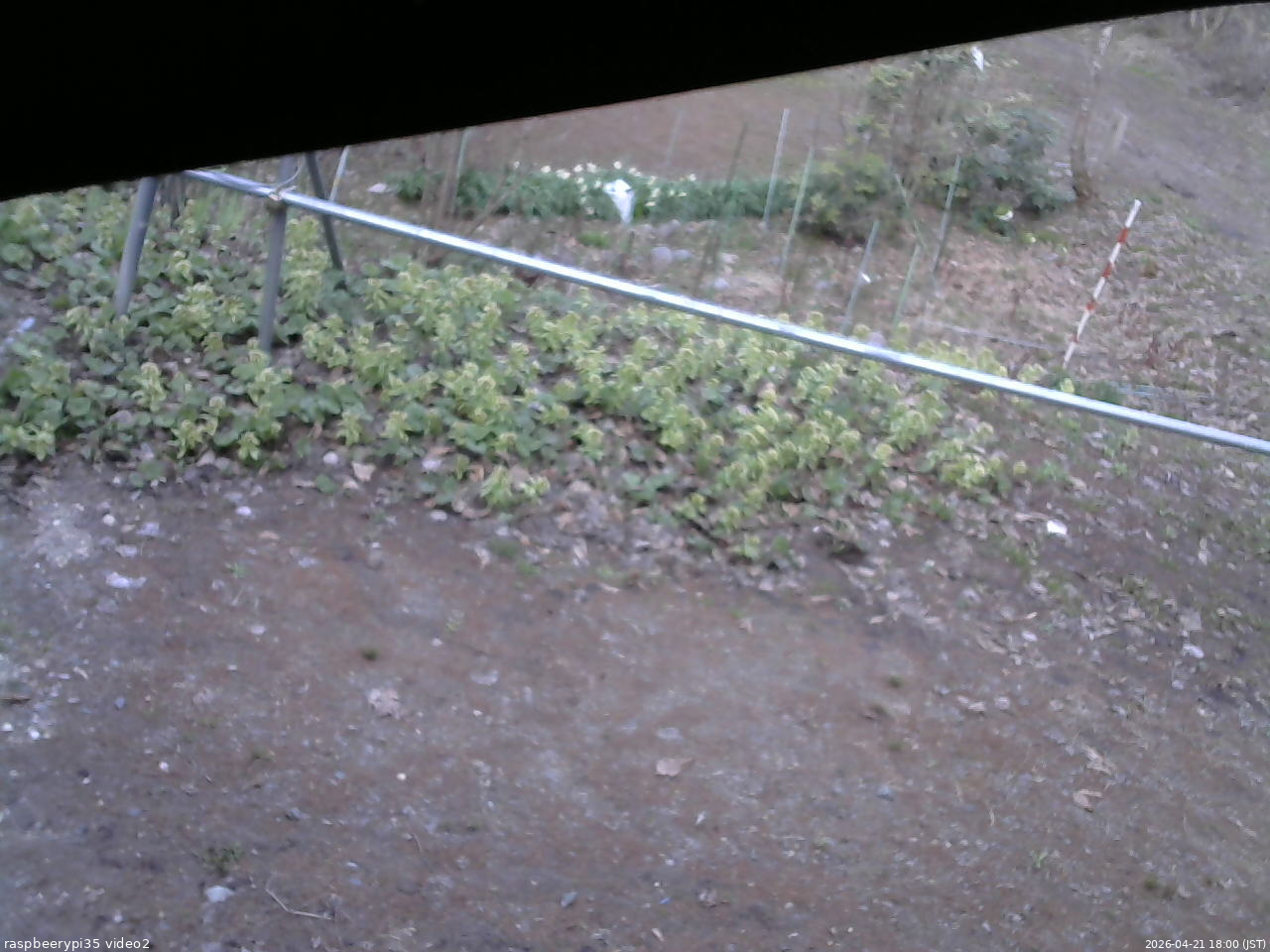 長野県菅平高原 ゆたか山荘 駐車場 2026/04/21 18:00