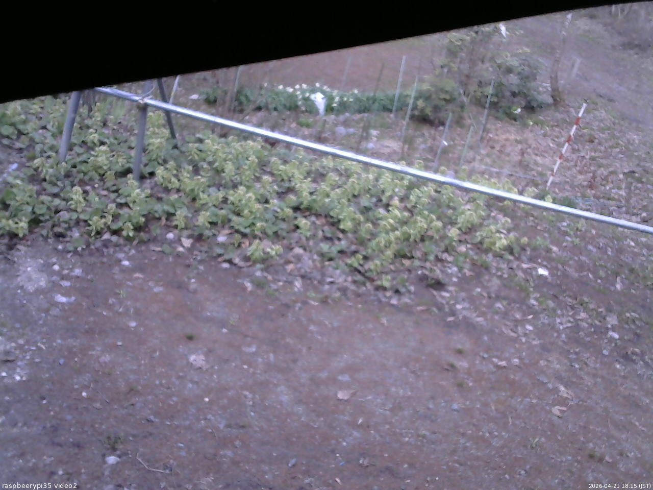 長野県菅平高原 ゆたか山荘 駐車場 2026/04/21 18:15