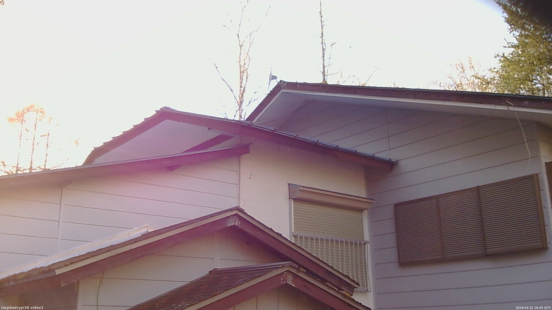 長野県菅平高原 ゆたか山荘 駐車場奥 2026/04/21 16:45