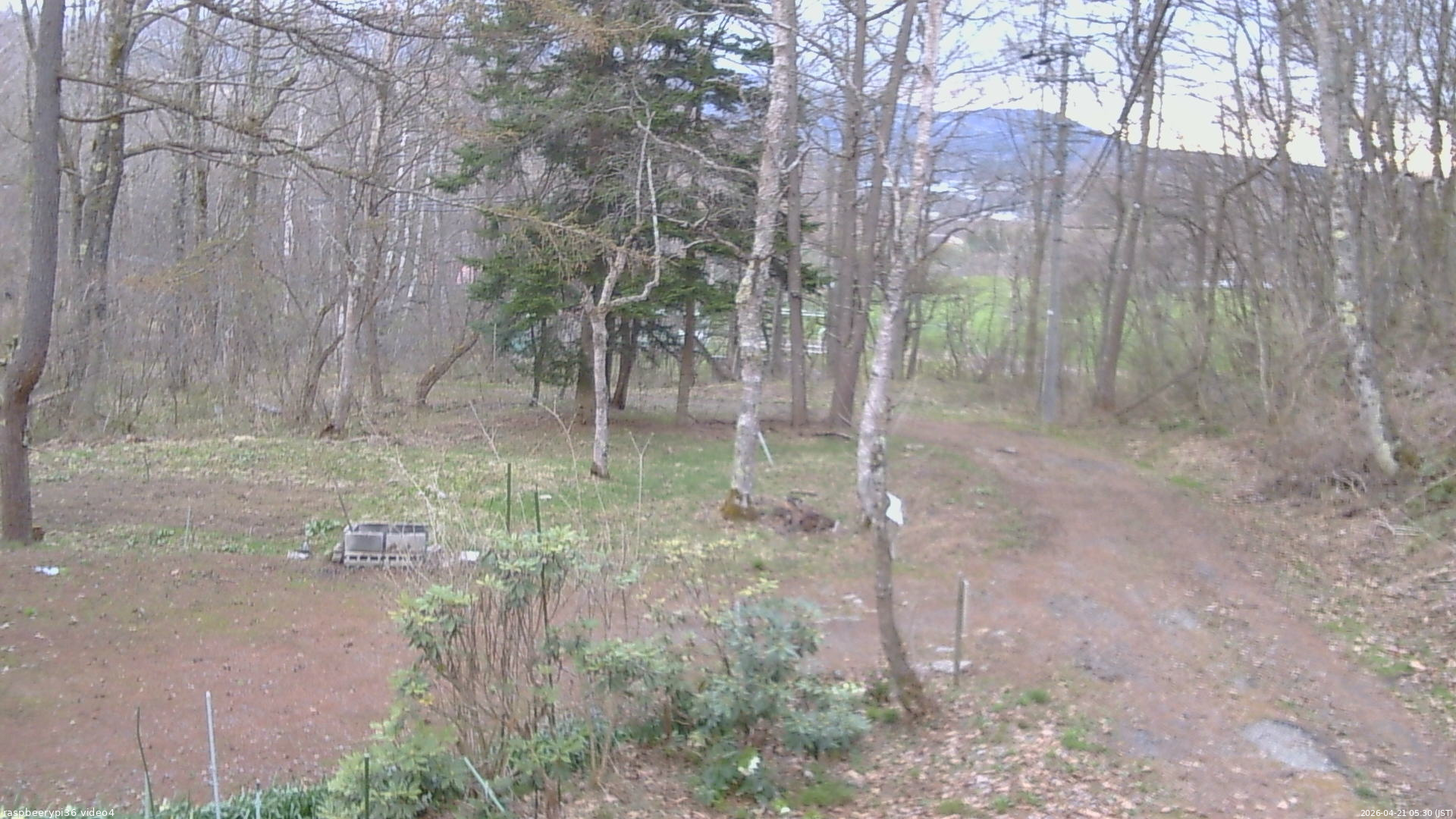 長野県菅平高原 ゆたか山荘 坂上 2026/04/21 05:30