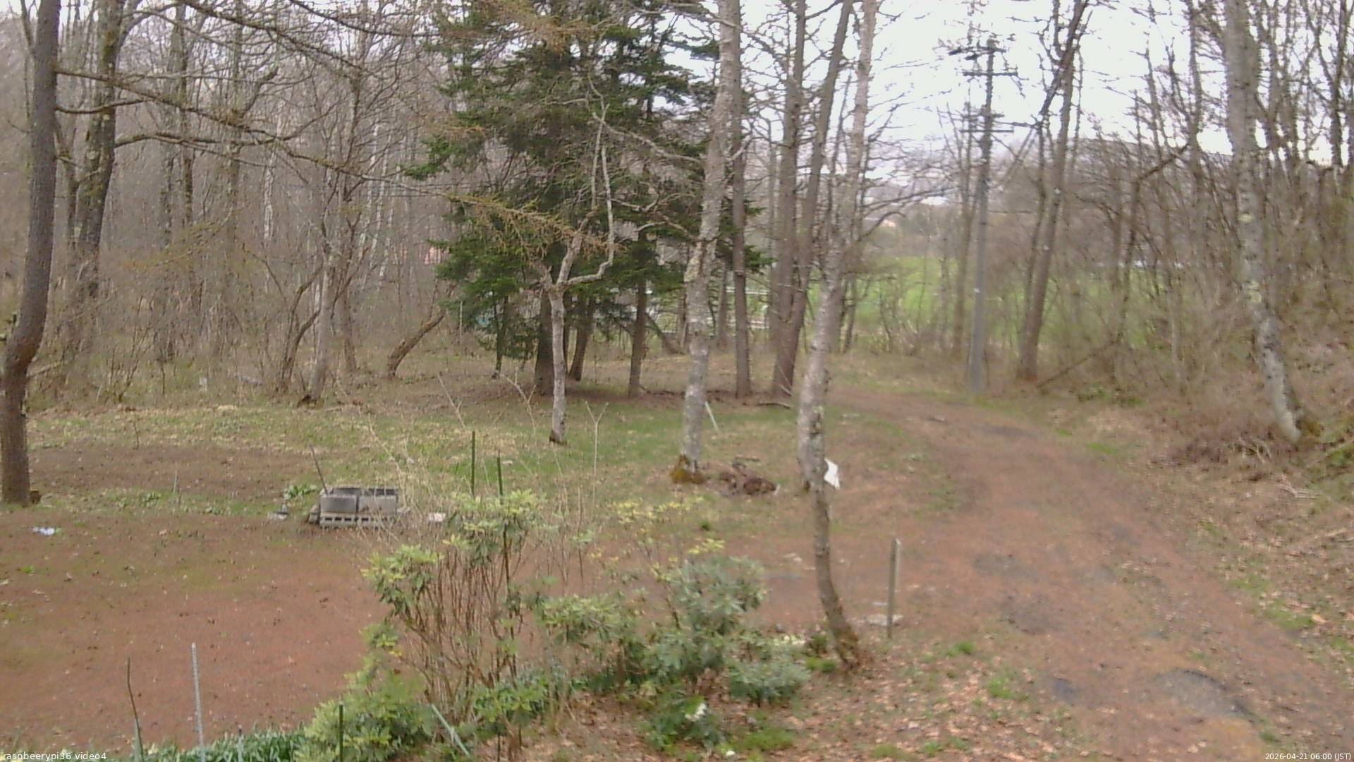 長野県菅平高原 ゆたか山荘 坂上 2026/04/21 06:00