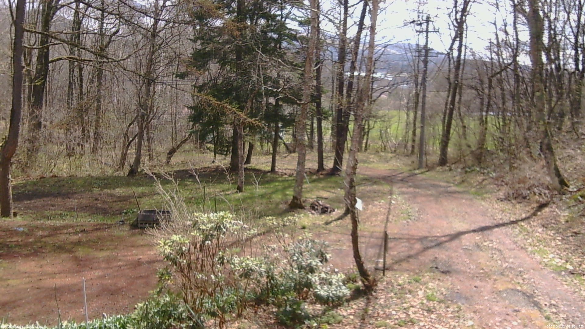 長野県菅平高原 ゆたか山荘 坂上 2026/04/21 09:30