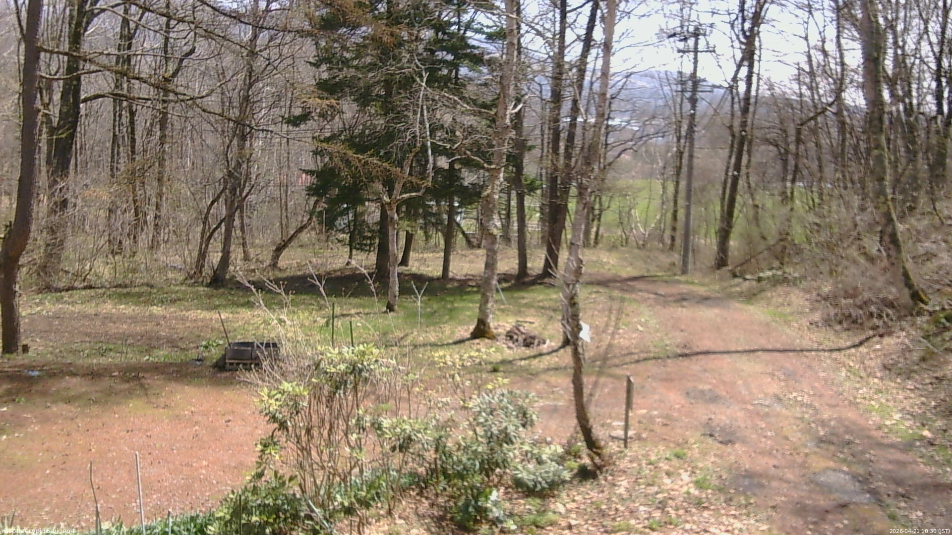 長野県菅平高原 ゆたか山荘 坂上 2026/04/21 10:30