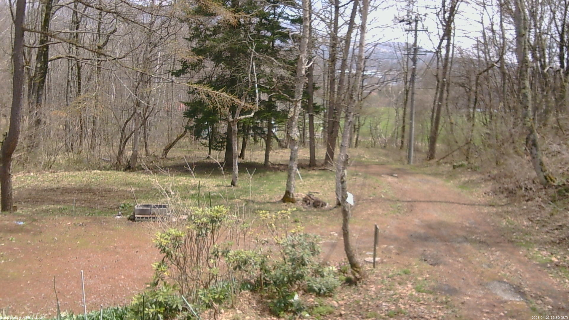 長野県菅平高原 ゆたか山荘 坂上 2026/04/21 11:30
