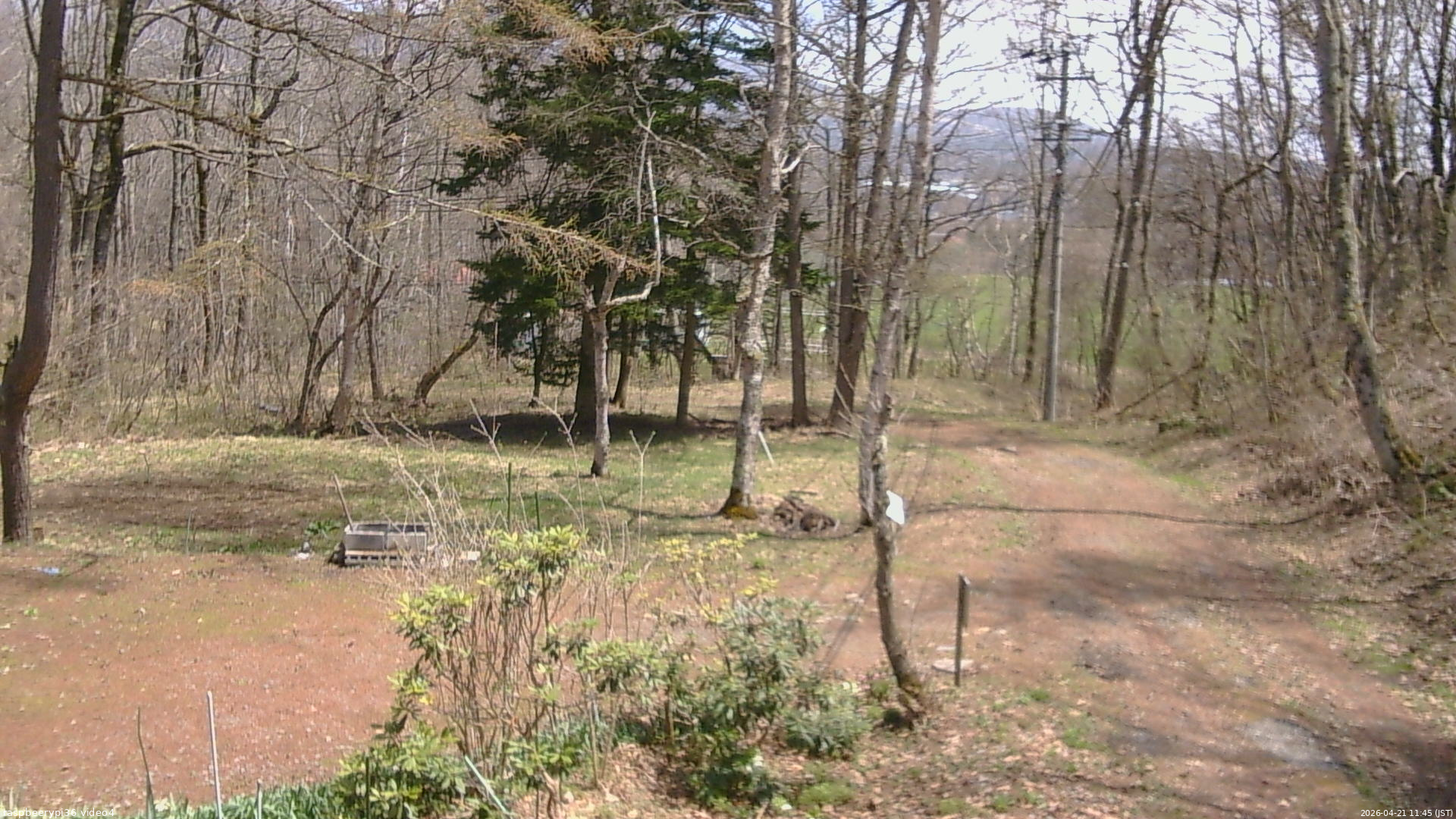 長野県菅平高原 ゆたか山荘 坂上 2026/04/21 11:45