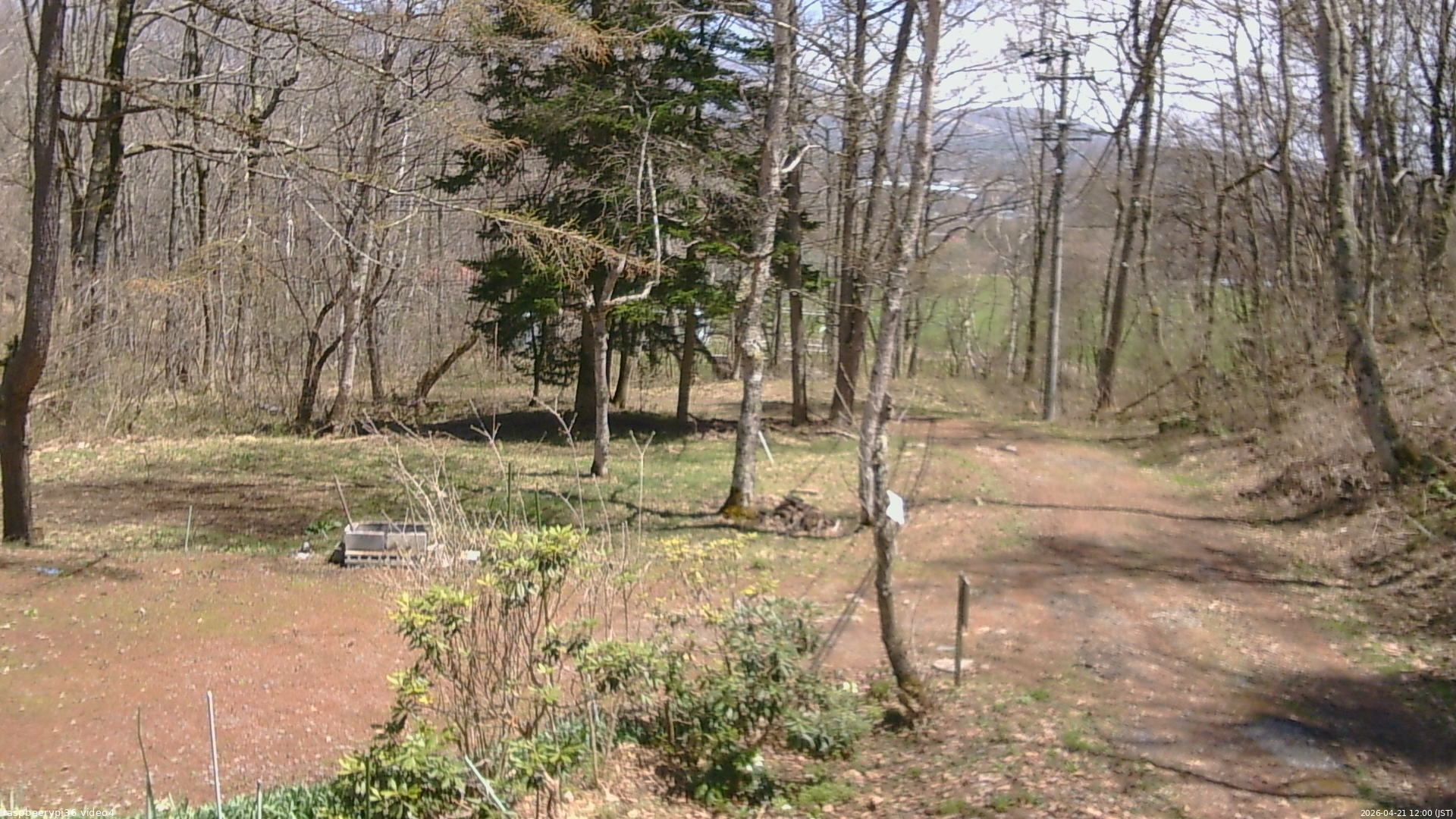長野県菅平高原 ゆたか山荘 坂上 2026/04/21 12:00