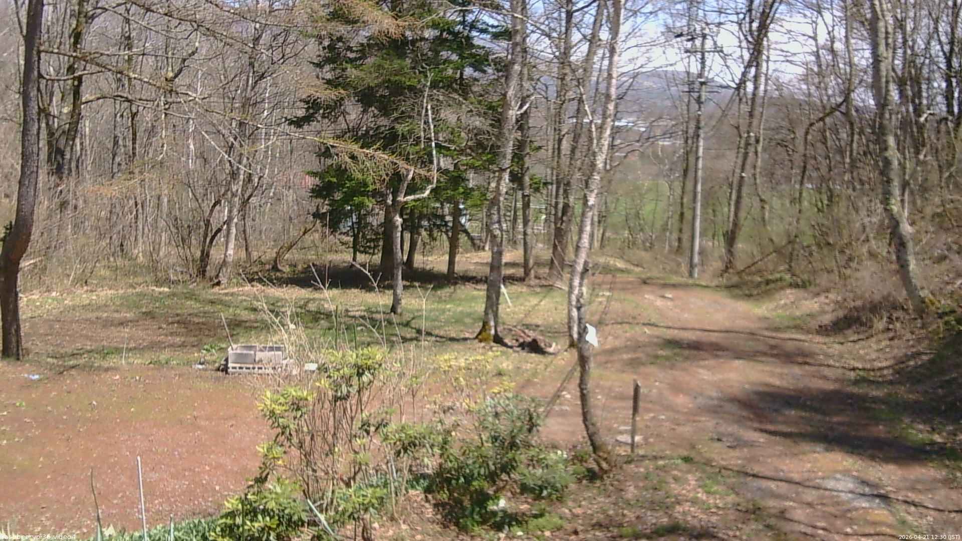 長野県菅平高原 ゆたか山荘 坂上 2026/04/21 12:30