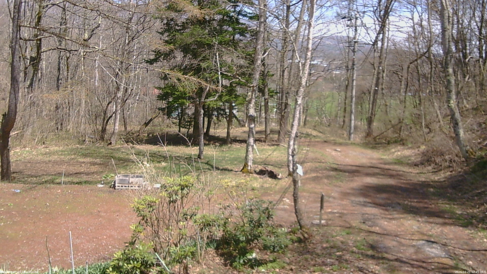 長野県菅平高原 ゆたか山荘 坂上 2026/04/21 12:45