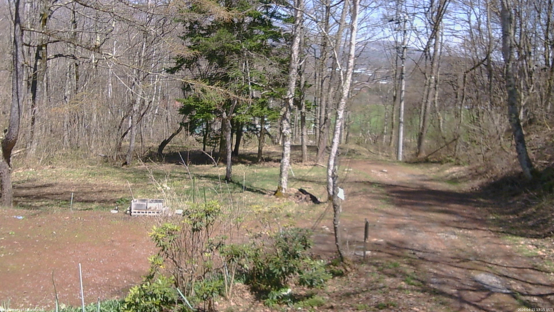 長野県菅平高原 ゆたか山荘 坂上 2026/04/21 13:15
