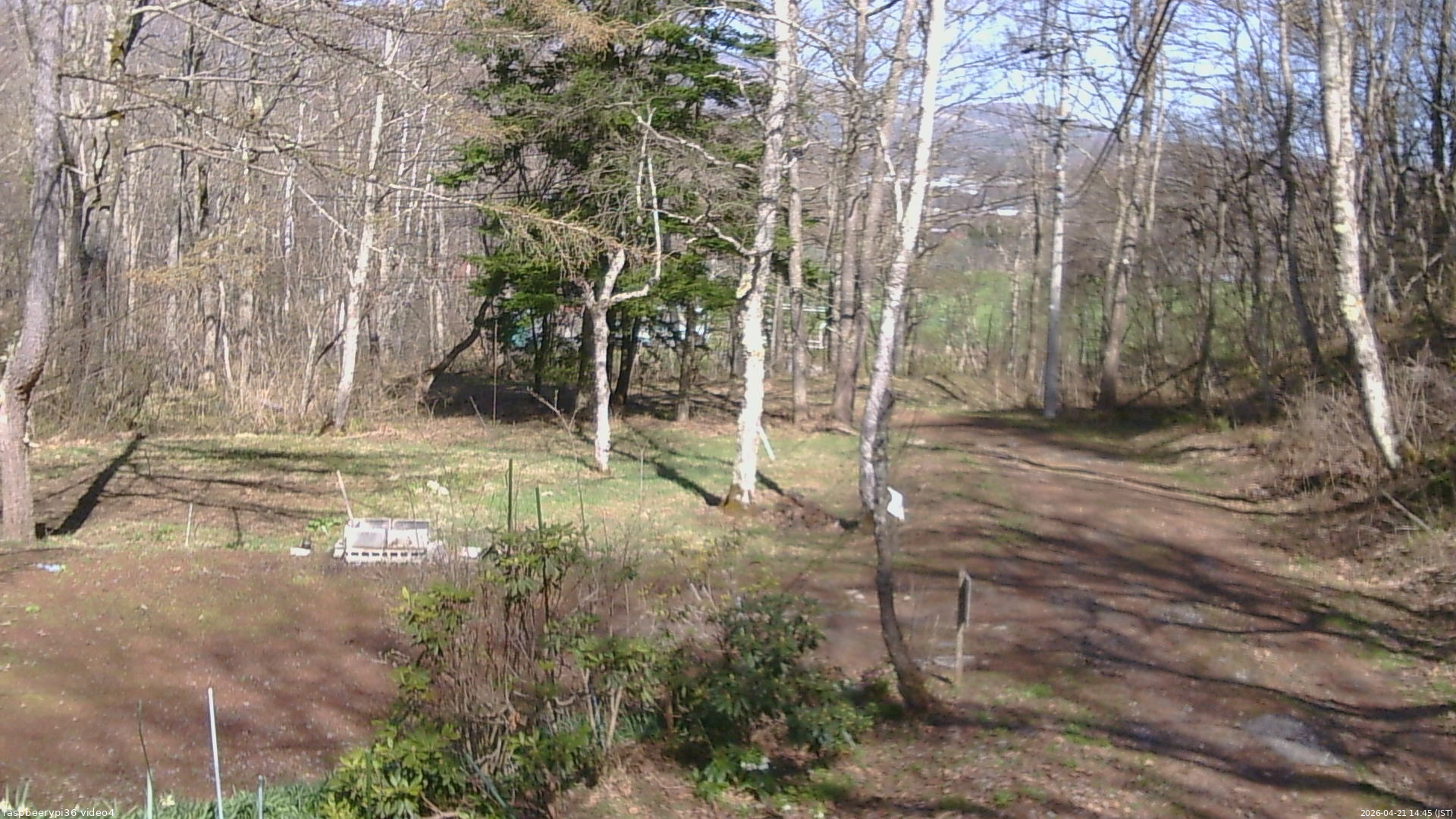 長野県菅平高原 ゆたか山荘 坂上 2026/04/21 14:45