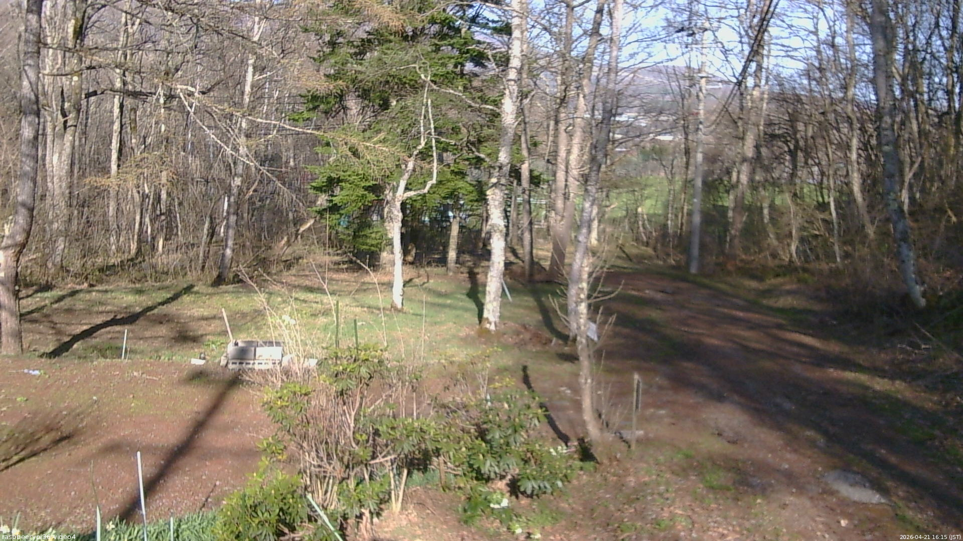 長野県菅平高原 ゆたか山荘 坂上 2026/04/21 16:15