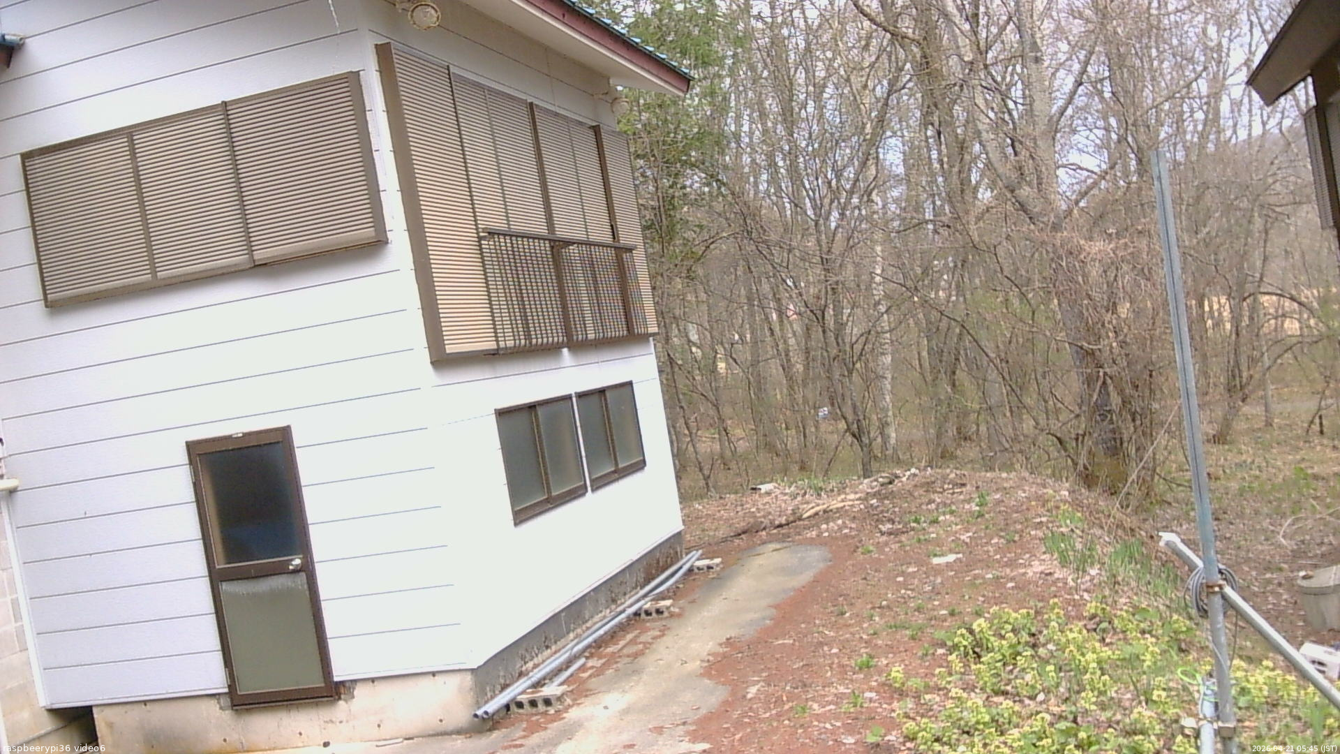 長野県菅平高原 ゆたか山荘 坂下 2026/04/21 05:45