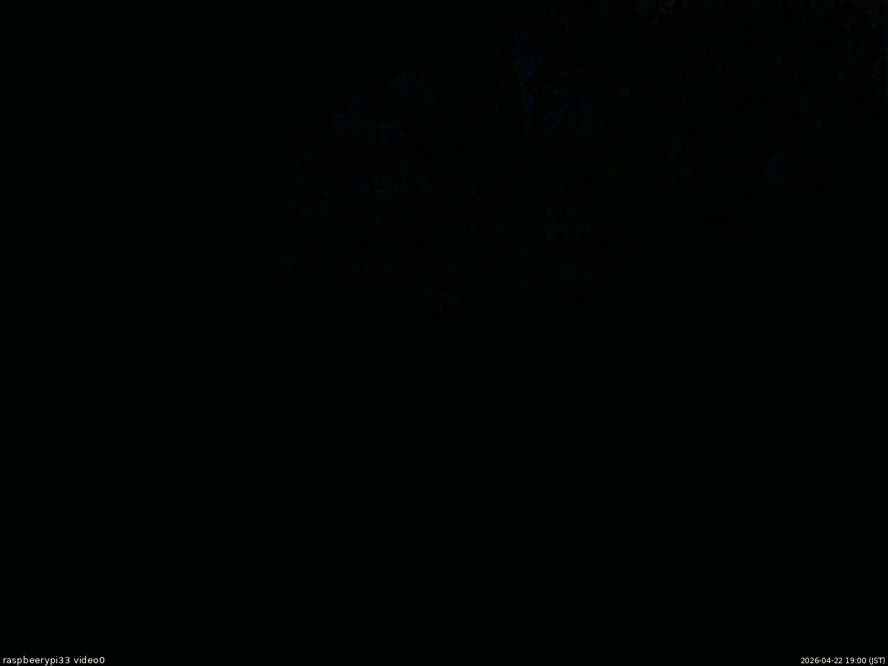 長野県菅平高原 ゆたか山荘 北側 2026/04/22 19:00