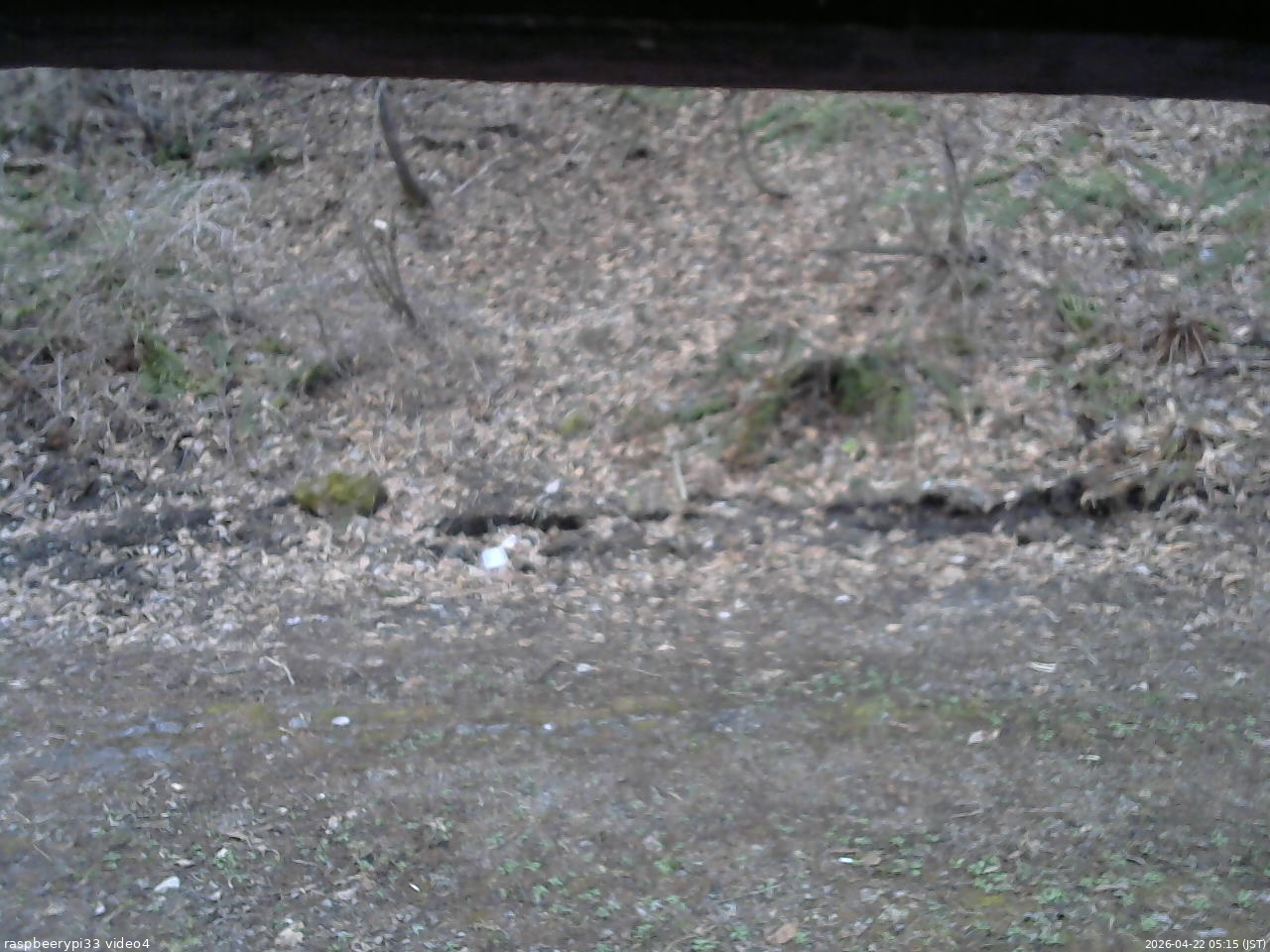 長野県菅平高原 ゆたか山荘 東側(坂下) 2026/04/22 05:15