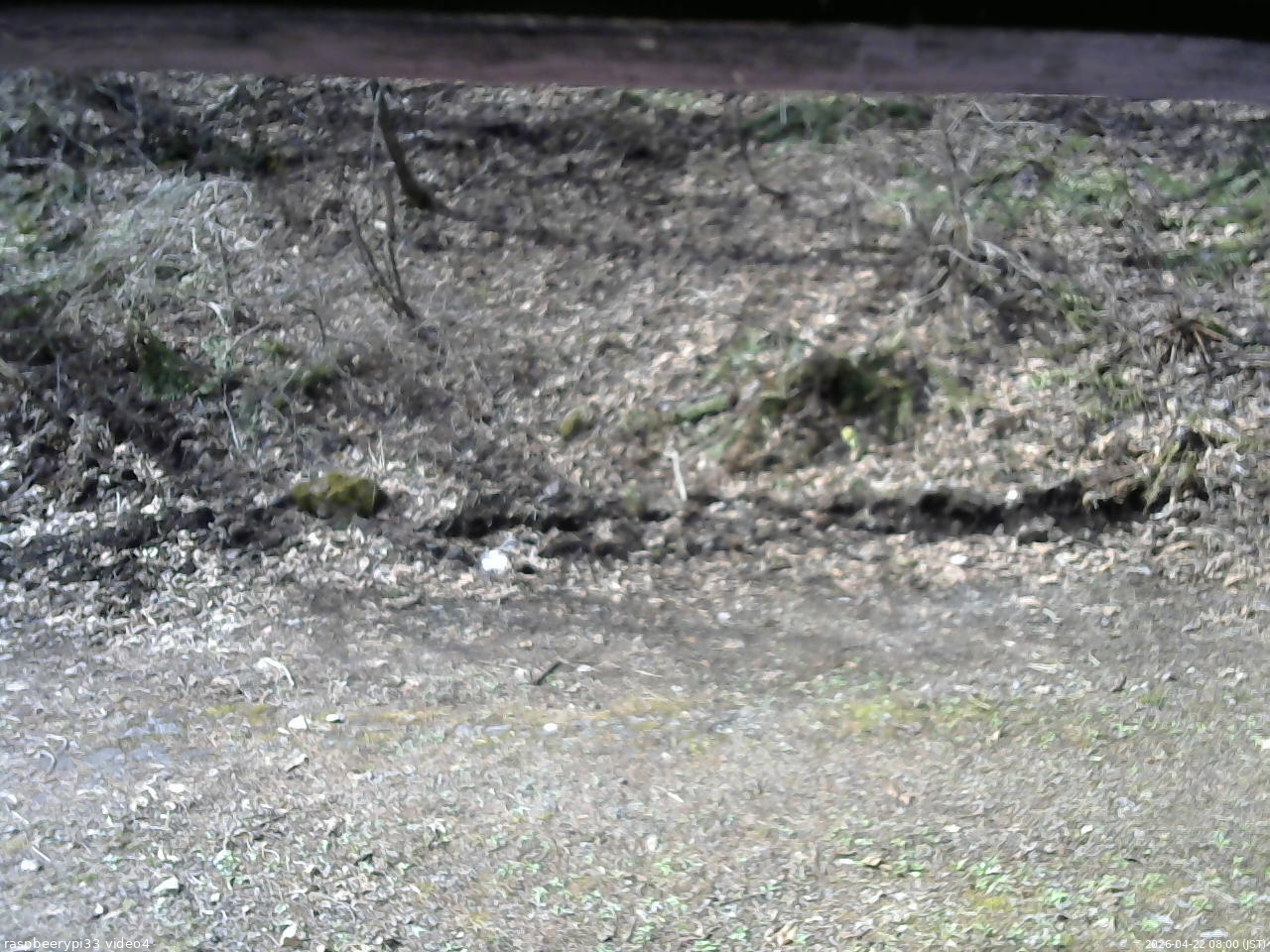 長野県菅平高原 ゆたか山荘 東側(坂下) 2026/04/22 08:00