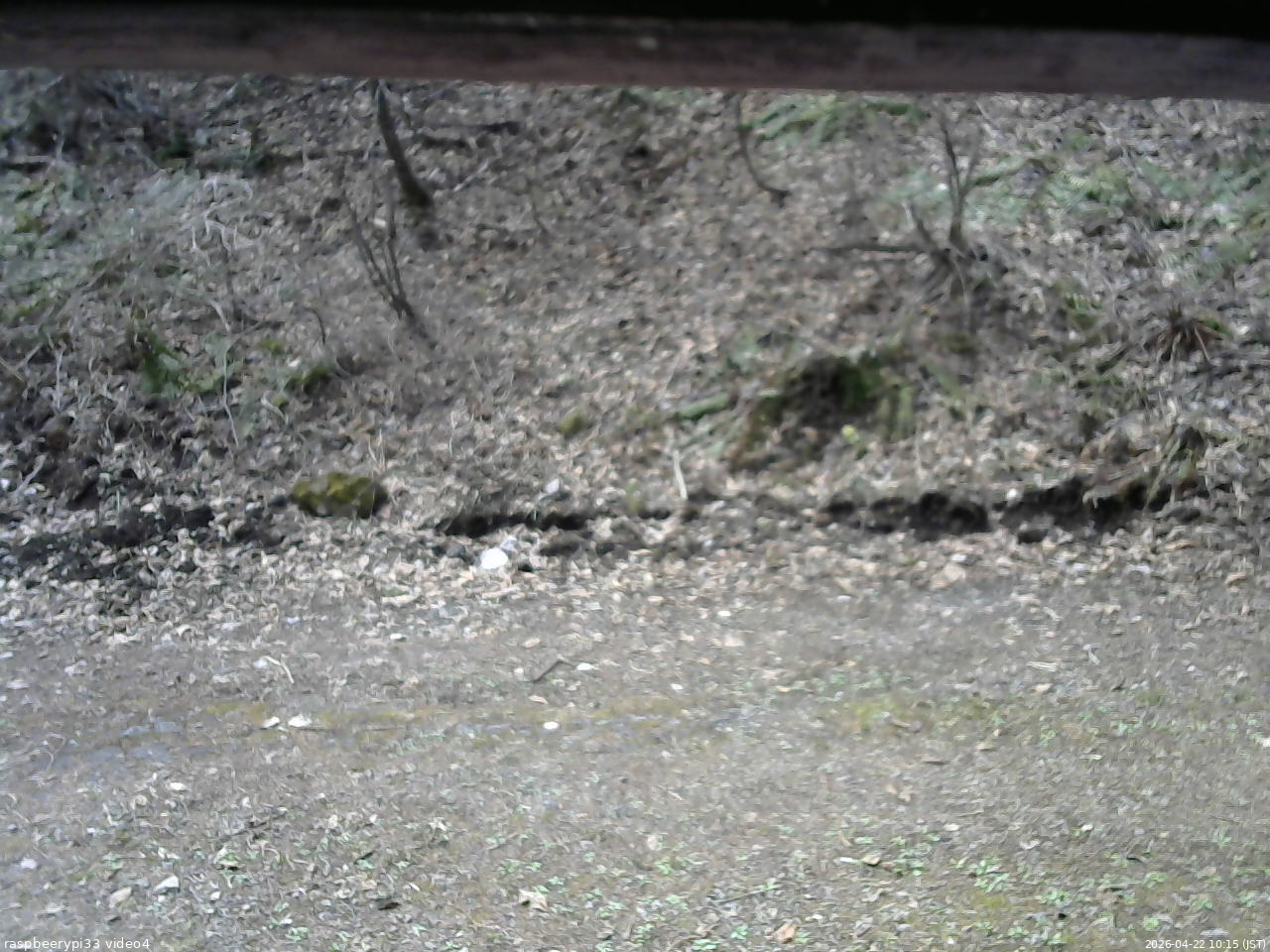 長野県菅平高原 ゆたか山荘 東側(坂下) 2026/04/22 10:15