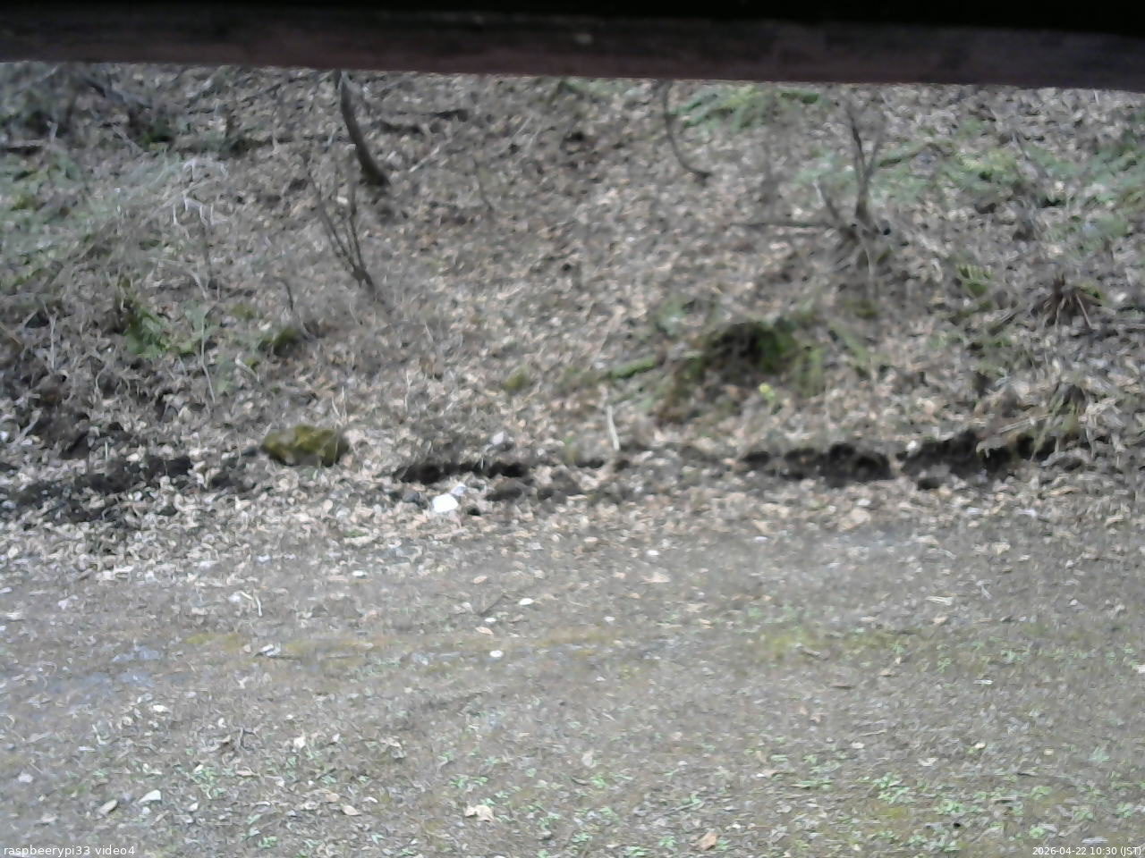 長野県菅平高原 ゆたか山荘 東側(坂下) 2026/04/22 10:30