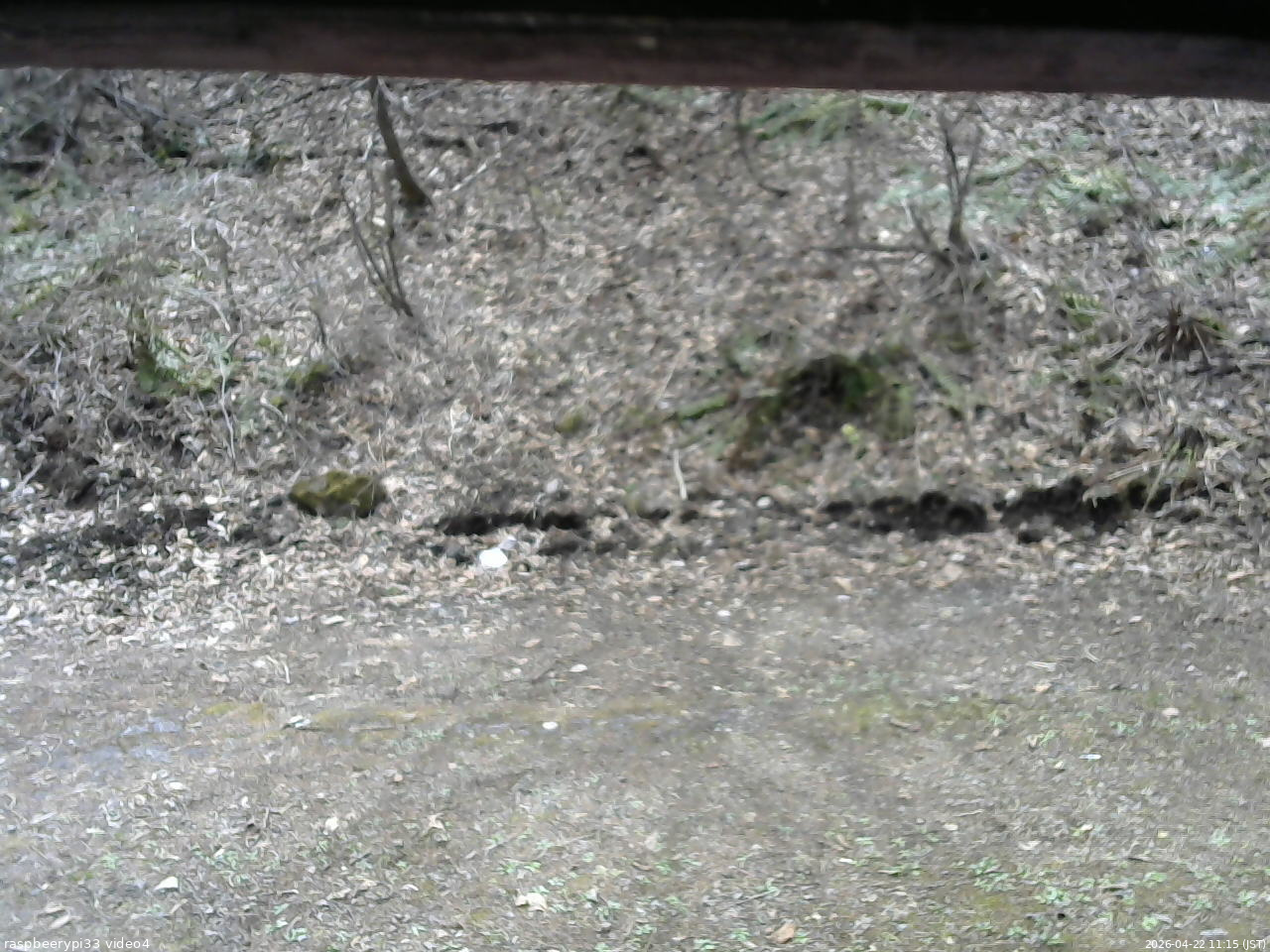 長野県菅平高原 ゆたか山荘 東側(坂下) 2026/04/22 11:15