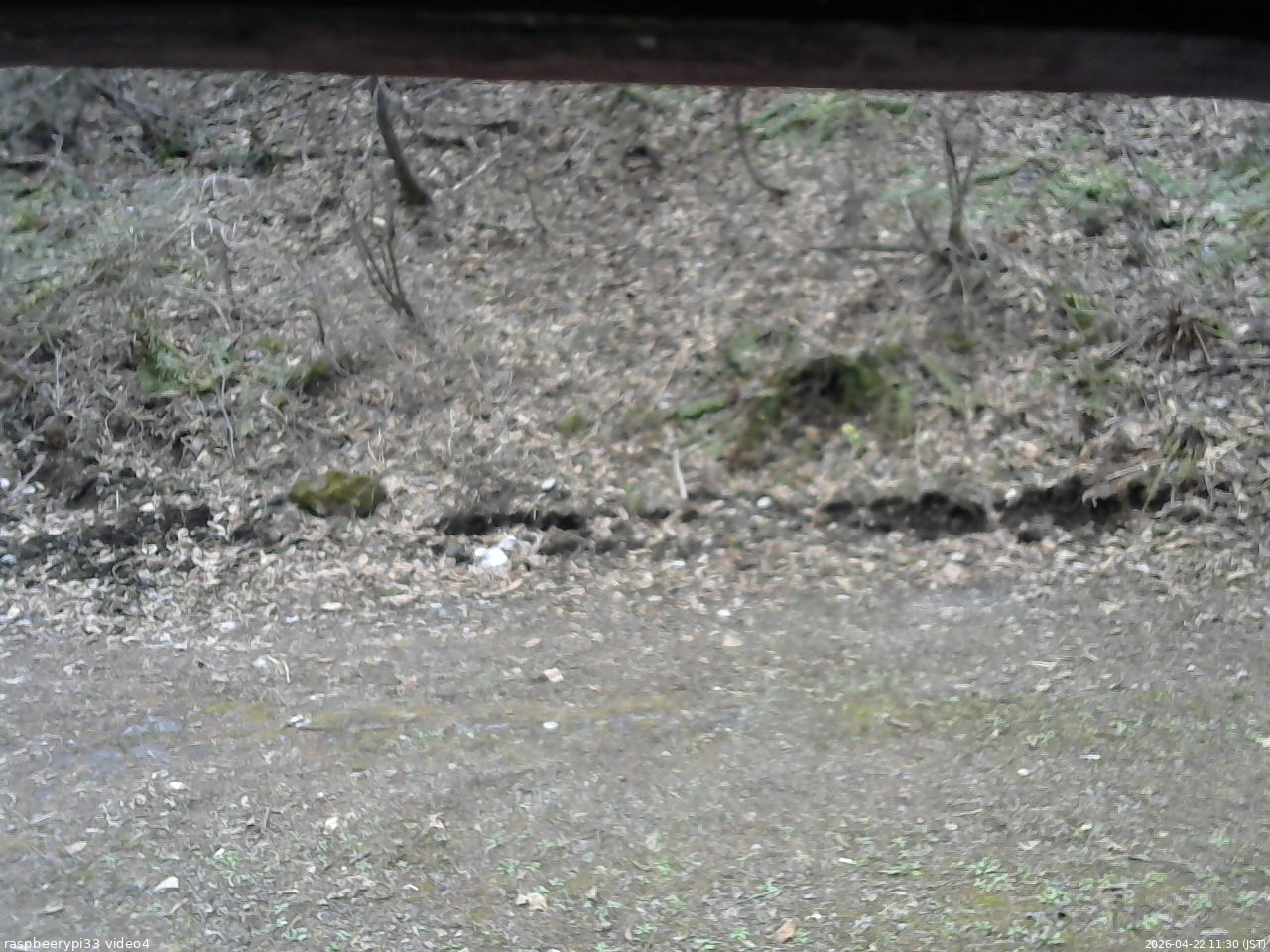 長野県菅平高原 ゆたか山荘 東側(坂下) 2026/04/22 11:30