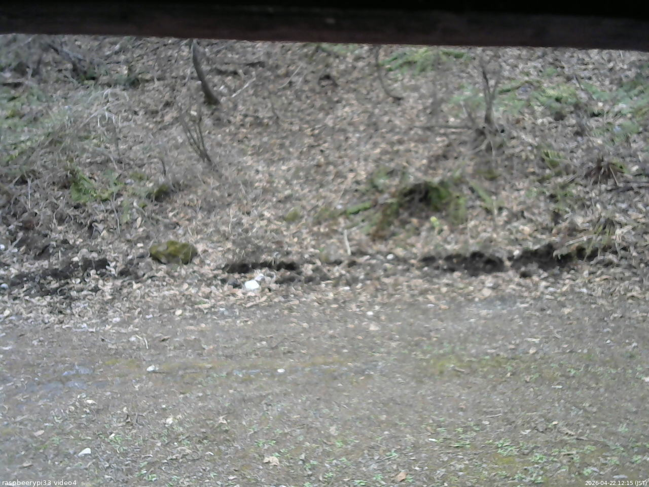 長野県菅平高原 ゆたか山荘 東側(坂下) 2026/04/22 12:15