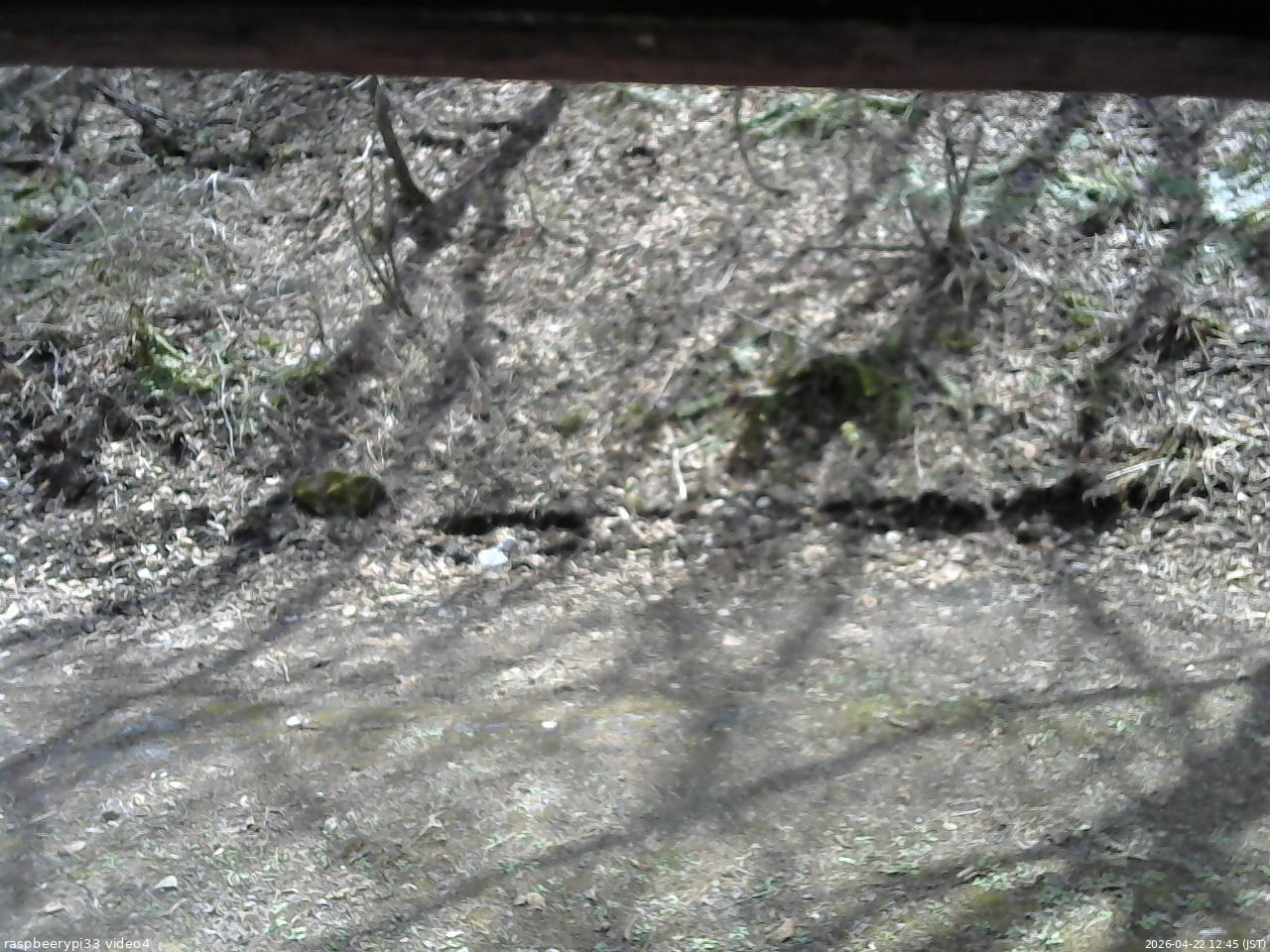長野県菅平高原 ゆたか山荘 東側(坂下) 2026/04/22 12:45
