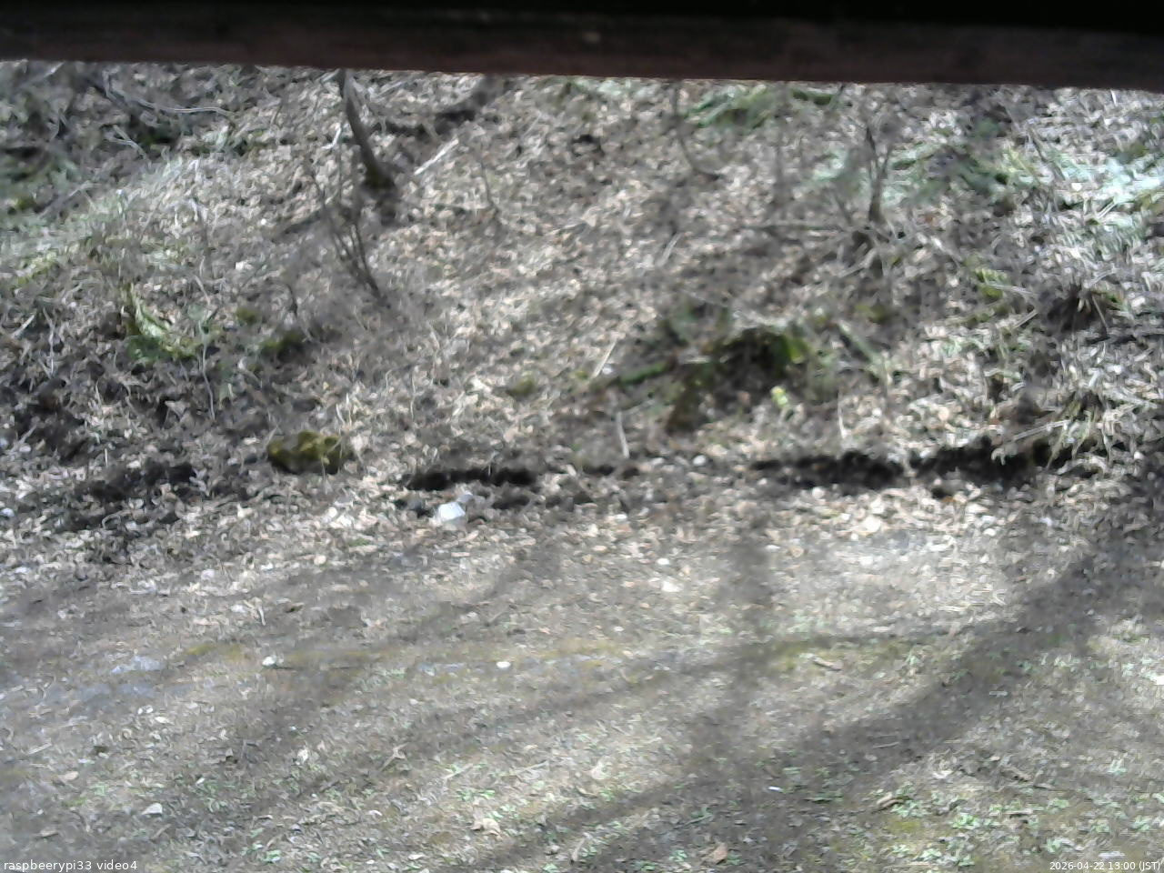 長野県菅平高原 ゆたか山荘 東側(坂下) 2026/04/22 13:00