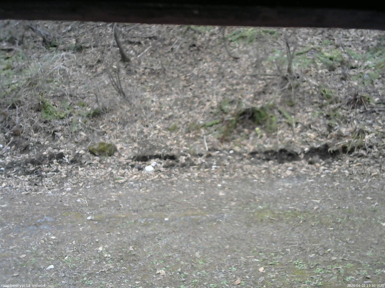 長野県菅平高原 ゆたか山荘 東側(坂下) 2026/04/22 13:30