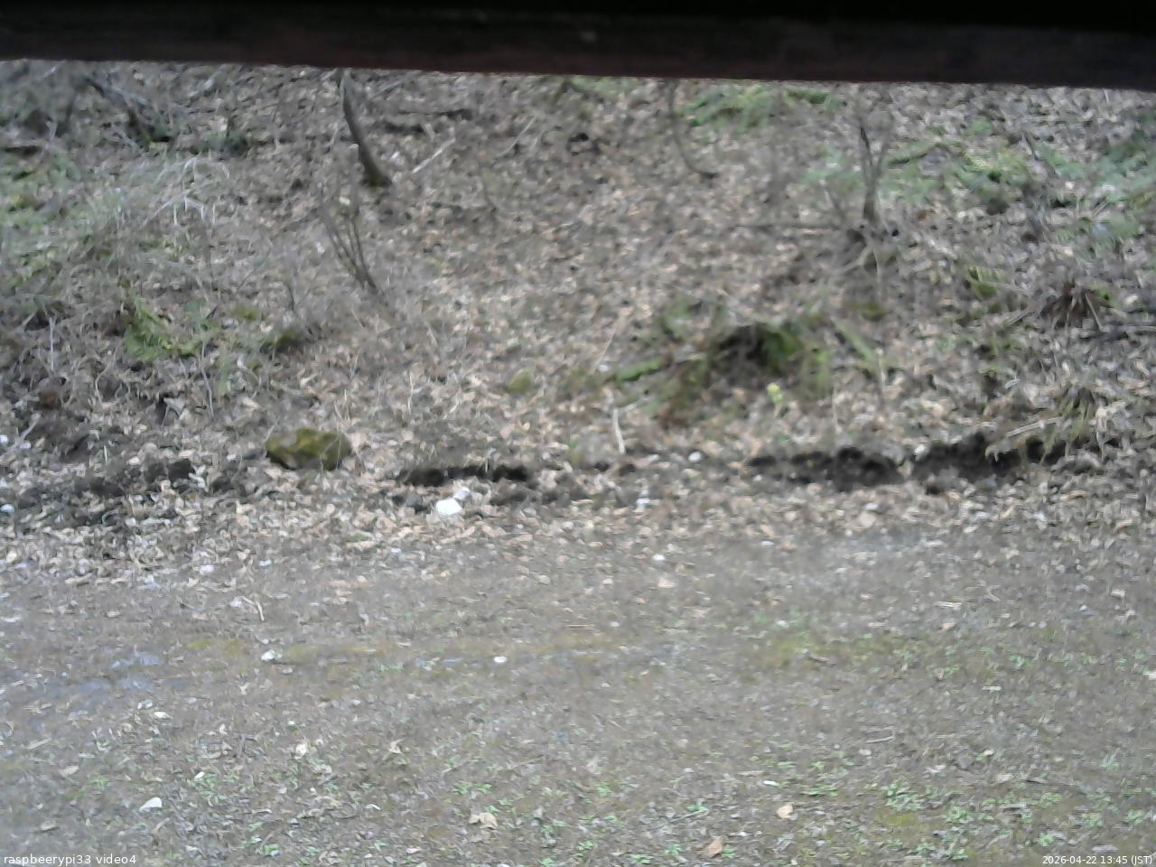 長野県菅平高原 ゆたか山荘 東側(坂下) 2026/04/22 13:45