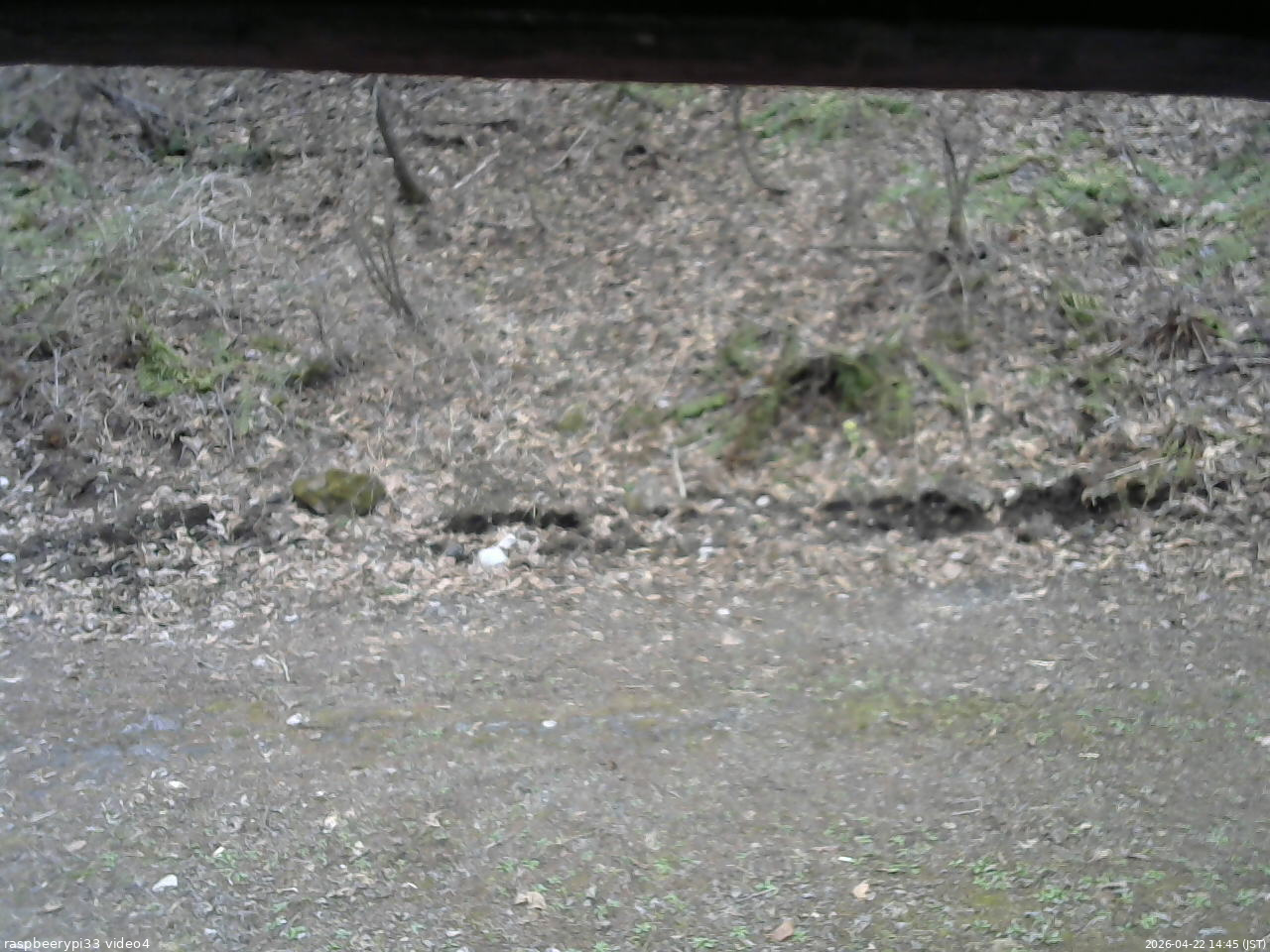 長野県菅平高原 ゆたか山荘 東側(坂下) 2026/04/22 14:45