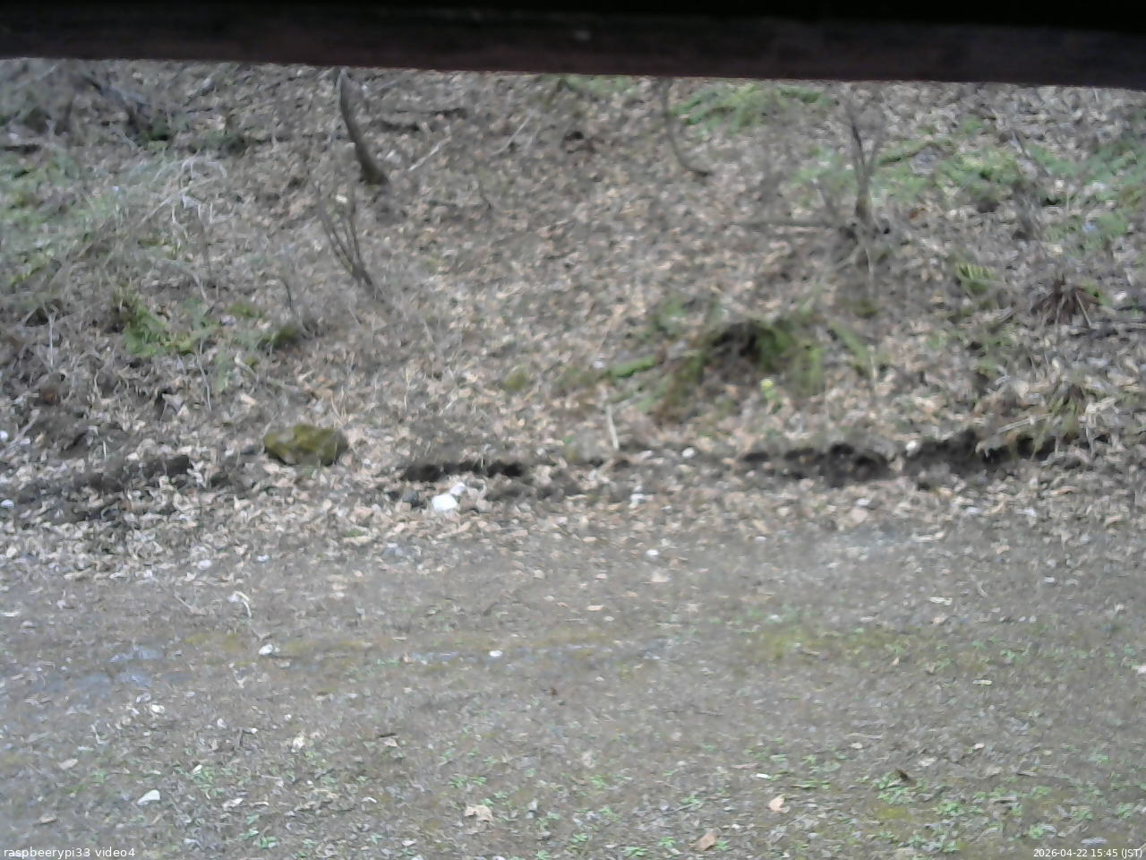 長野県菅平高原 ゆたか山荘 東側(坂下) 2026/04/22 15:45