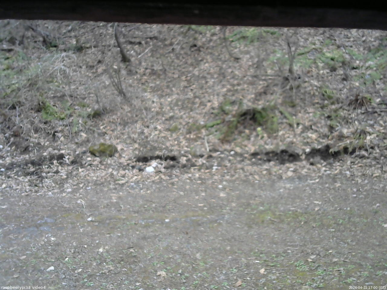 長野県菅平高原 ゆたか山荘 東側(坂下) 2026/04/22 17:00